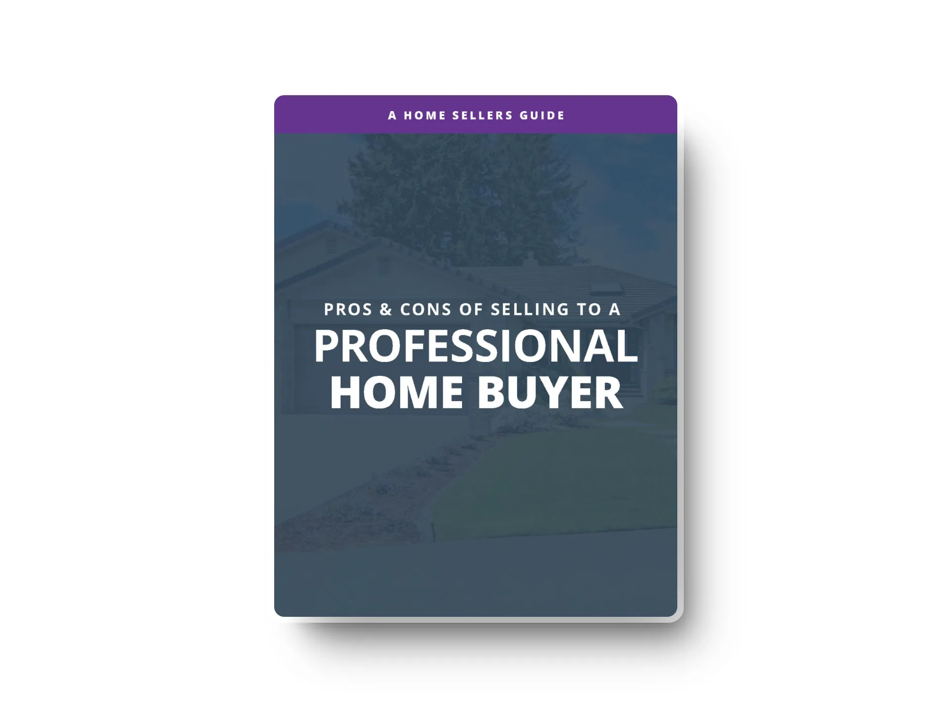professional-home-buyer-guide